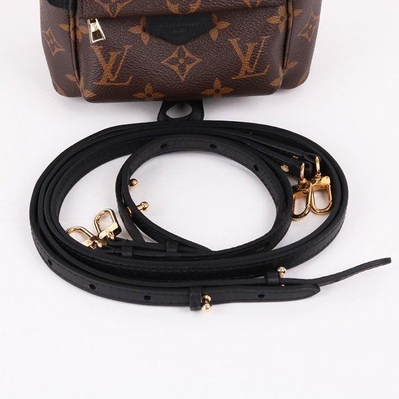 ❌SOLD❌Louis Vuitton Palm Springs Mini - Picture 8 of 9